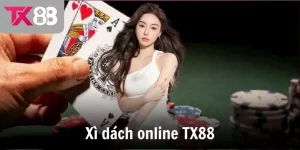 xi dach online tx88